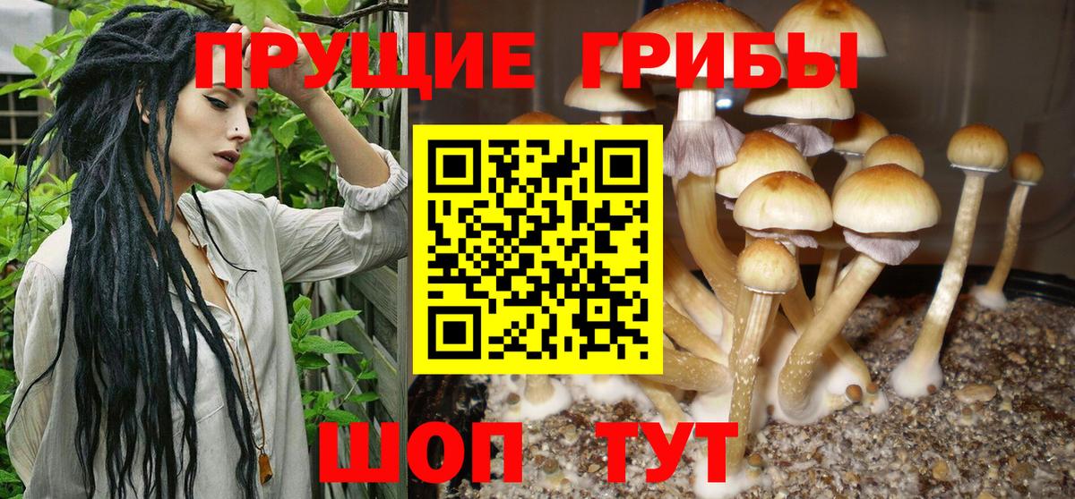 Псилоцибиновые грибы ЛСД Минусинск