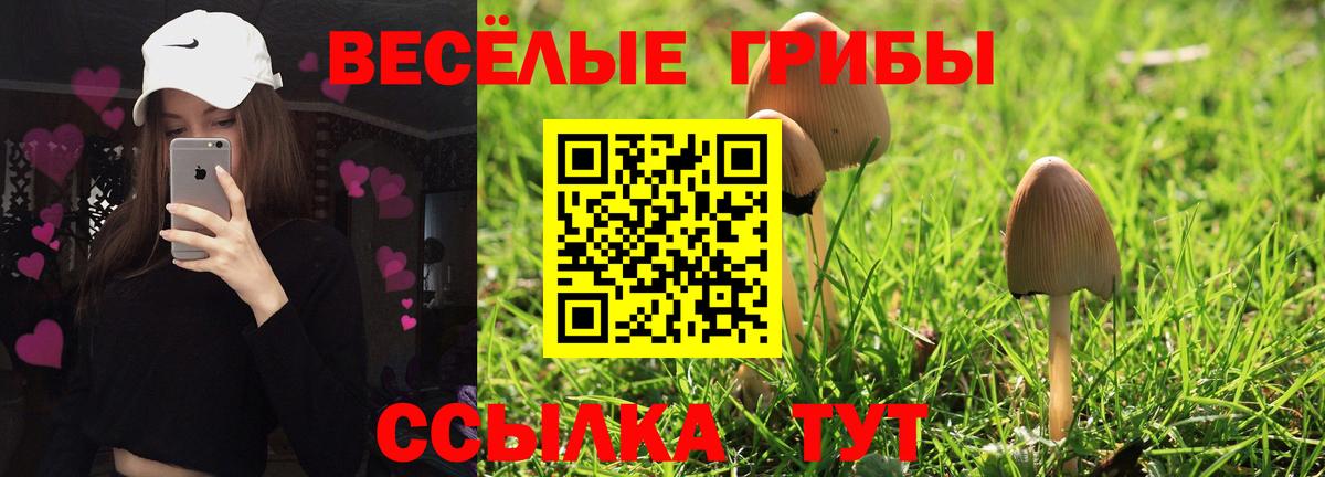 наркота  Псилоцибиновые грибы ЛСД  Вход с VPN  Минусинск 